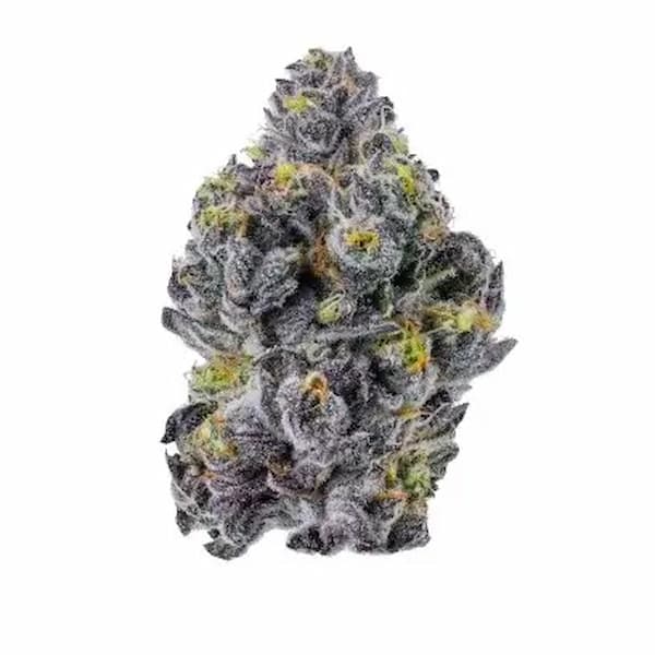 Sticky Wasabi (Triploid F1) Seed > Growers Choice | Feminized Cannabis   |  Hybrid